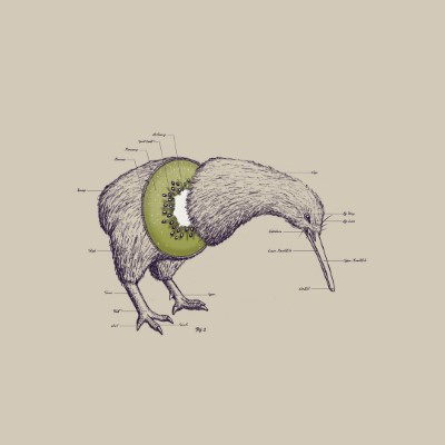 1920 x 1080 HD Wallpapers 1514